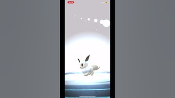 Evolve A Shiny Eevee In To A Shiny Umbreon #pokemon #pokemongo