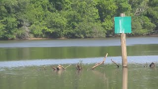 UPDATE: Chattahoochee River catfish cause of death likely determined