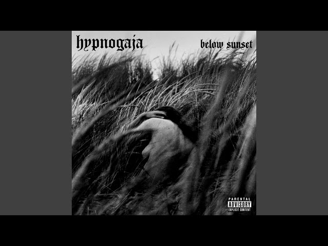 Hypnogaja - Unspoken