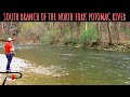 Trout Fishing the Potomac River by Pautzke Bait