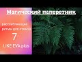 Магия Папоротника на канале  LIKE EVA plus