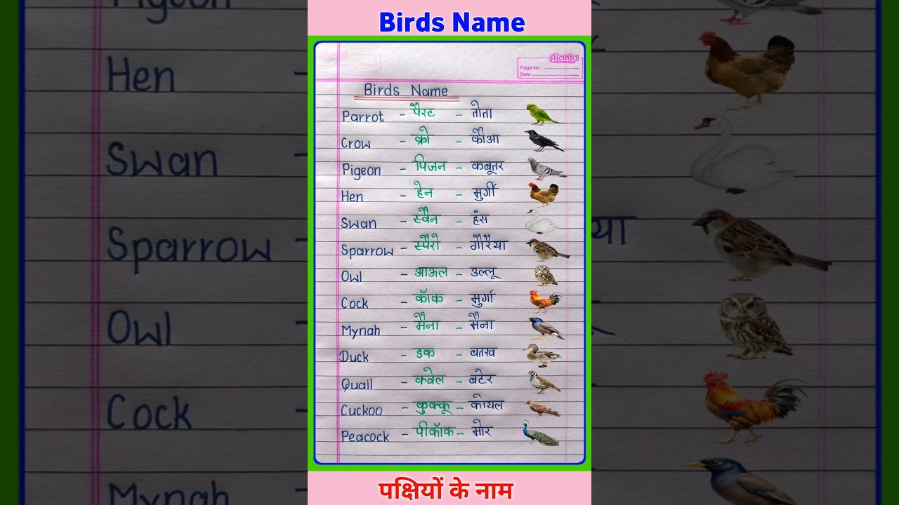 Birds Name in English and Hindi | पक्षियों के नाम | pakshiyon ke naam | Birds Name 