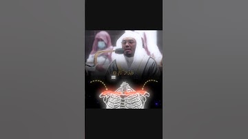 سورة القيامه ( ٢٦ ـ ٣٠ ) #ياسر_الدوسري #قرآن #قران_كريم #duet #المصحف #اكسبلور #دويتو #رمضانمبارك