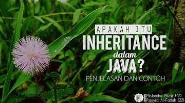 APAKAH ITU INHERITANCE DALAM JAVA? PENJELASAN DAN CONTOH