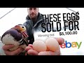 Why this YouTuber CAN’T sell on eBay.