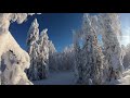 Зима  Февраль 2018