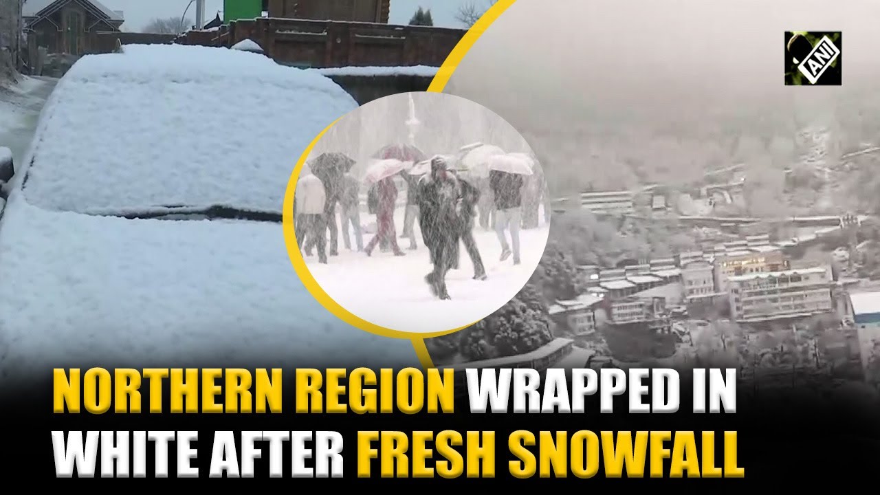 Watch: Fresh snowfall turns Northern parts of India into winter wonderland