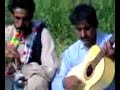  دونلی ساز  