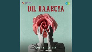 Dil Haareya - Soft Chill Mix - VDJ Fly, Vdj Shana, Arijit Singh