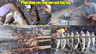 Noj Txiv Tsog Quaj Lawb Thiab Qos Dej Hau Nrog Phob Tham 20052021