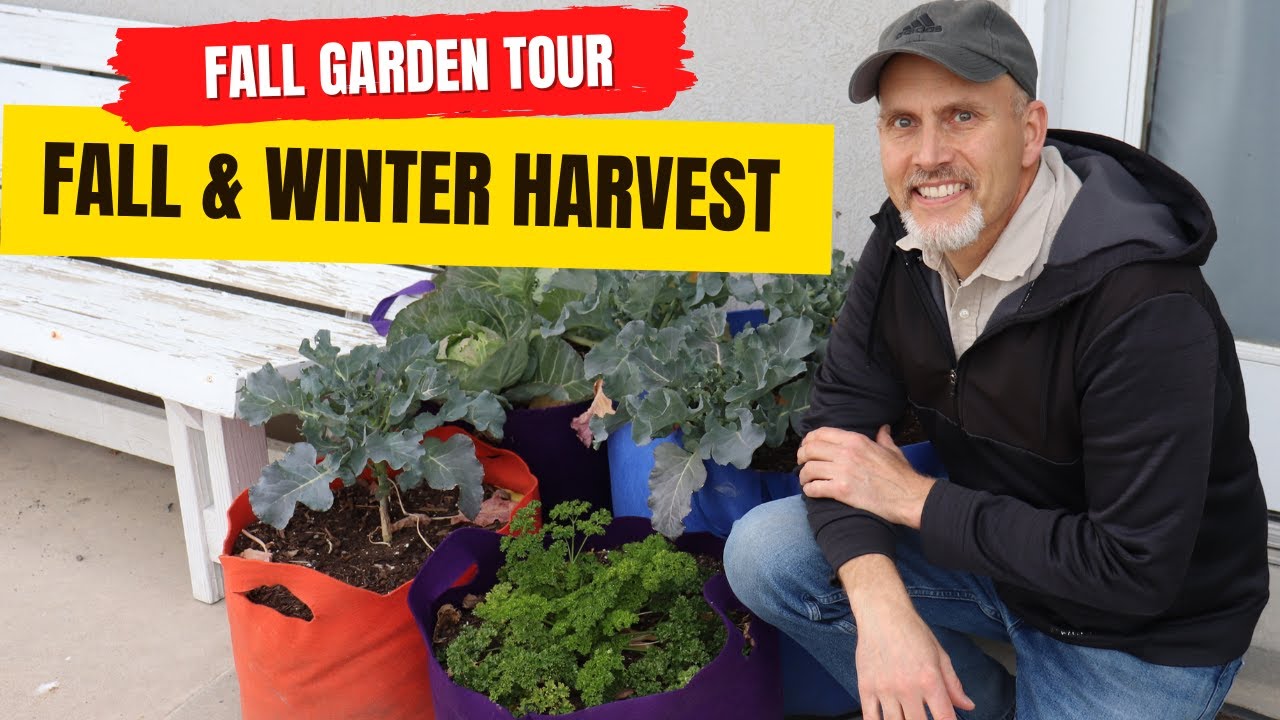Fall Garden Tour | Fall and Winter Harvest - YouTube
