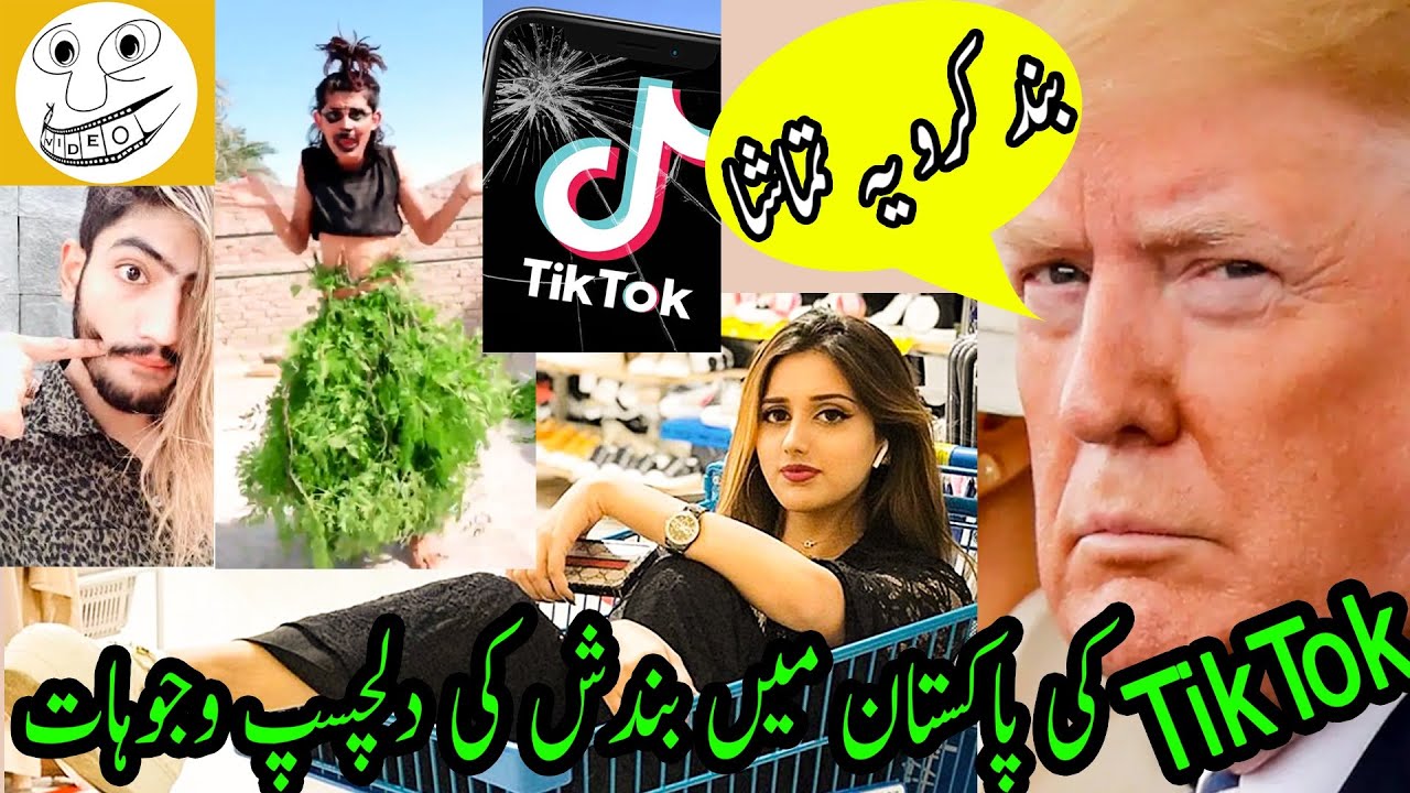 Tik Tok Banned in Pakistan Meme Funny Video - Video Cue 
