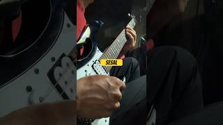 Sesal  Elvy Sukaesih Cover Lead Gitarcover dangdut lead gitar ibanez jem elvysukaesih