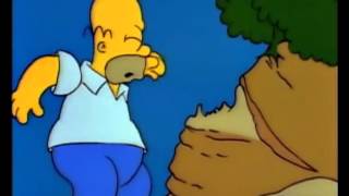 Homer Stuntman Kaskader