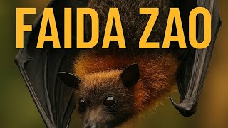 Maisha ya Popo: Wanyama wa Usiku Wenye Faida Kubwa Kwa Dunia”