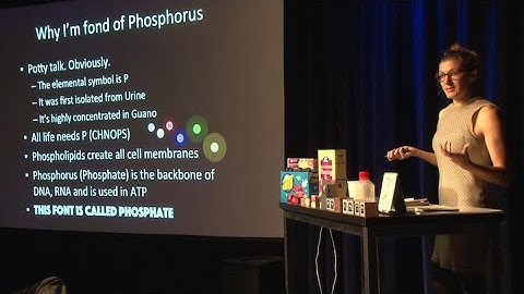 Everything Matters | Phosphorus | Julia DeMarines | Exploratorium