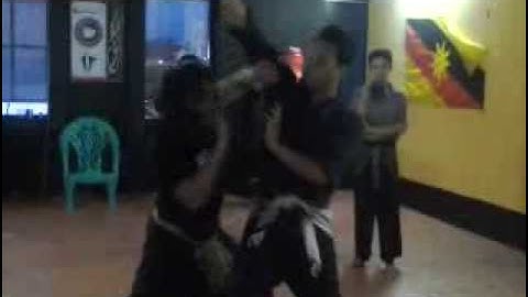 SILAT PUKULAN SANG MERPATI PUTIH SARAWAK ( KNIFE DISARM TECHNIQUE )
