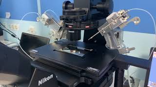 Why IVF Lab Quality is Important to Fertility Treatment Success?
