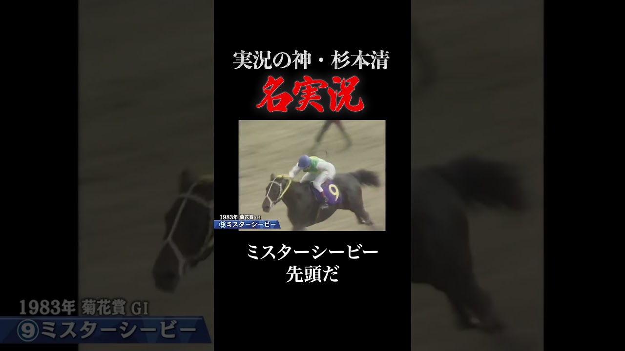 関連動画2