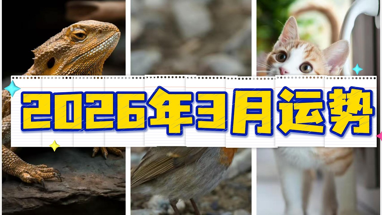 【2026年3月运势】惊蛰·破局