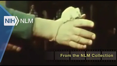 John B. Calhoun Film 7.1 [edited], (NIMH, 1970-1972)
