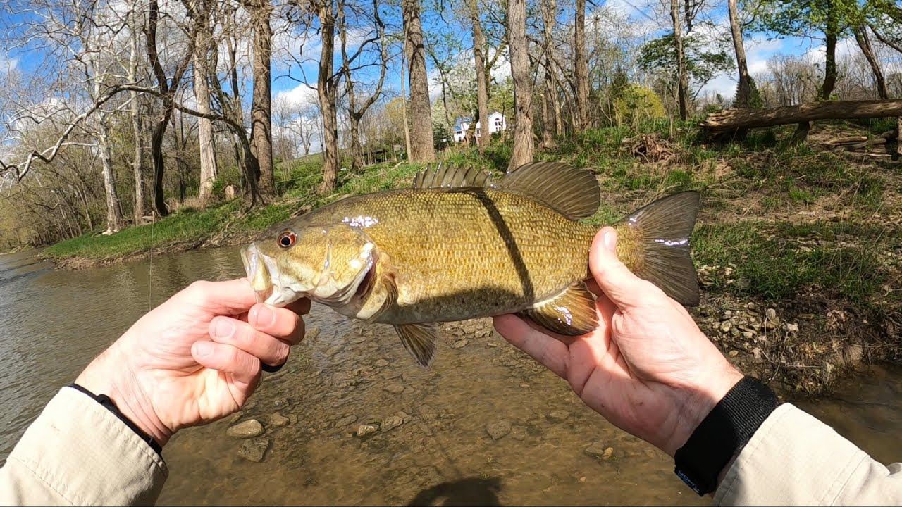 Spring Scioto Fishing April 2021 YouTube