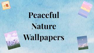 Peaceful Nature Wallpapers | AESTHETIC INN screenshot 2