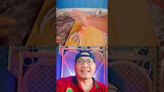 MENGAPA CUMI BERUBAH WARNA KETIKA DIPUKUL # #education #science # #physics @zackdfilms