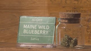National advocacy group forms to give small cannabis businesses a voice