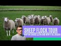 SHEEP FLOCK TOUR, WHY WE CHOSE LLEYN AND HOW IT ALL BEGAN