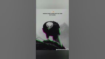 "Push yourself, because no one else is going to do it for you."🥷🏻🦅