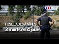 Fusillades  nmes  deux morts en quatre jours comment en finir 