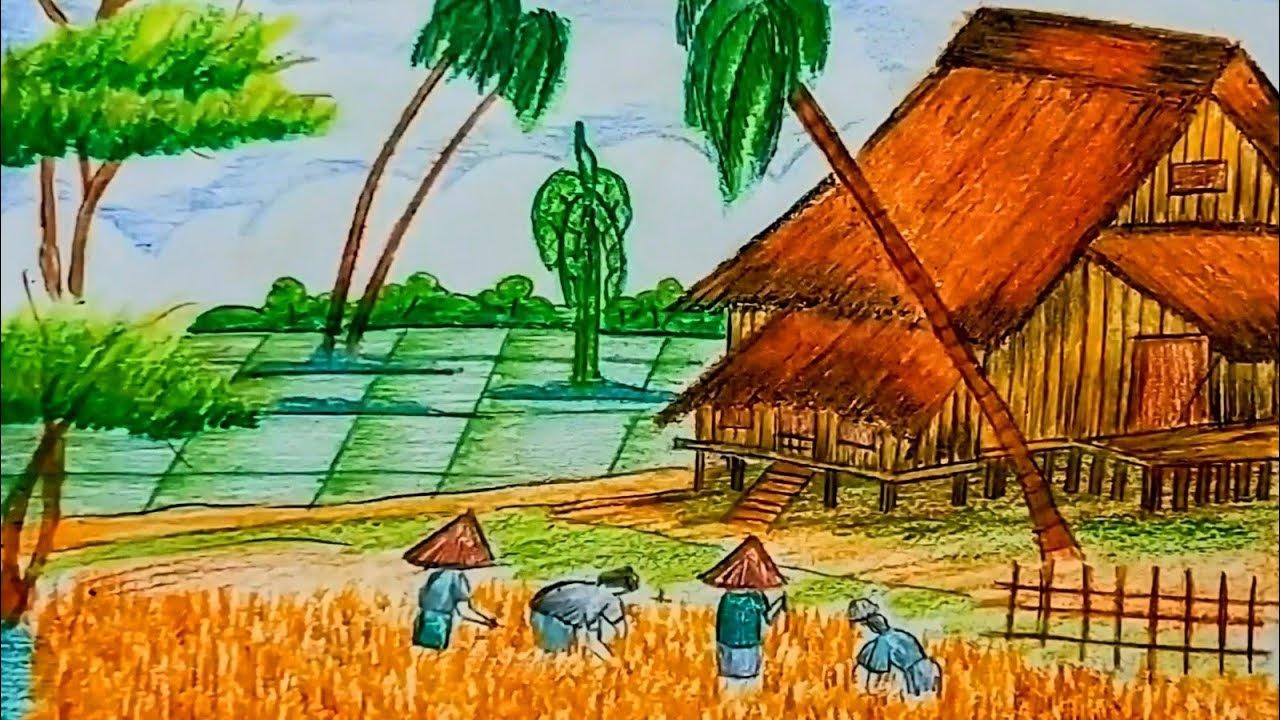 How to Draw Rice Fields in the Village/paddy field step by step/yellow