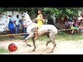 HORSE RACING / CARRERAS DE CABALLOS 🐎 🏁 🐎 Villa Rosa Atl. 6 Ago. 2017
