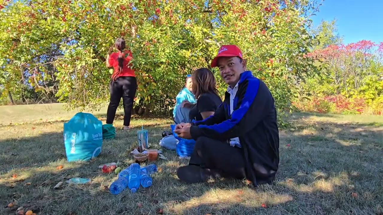 ស្រីៗនាំគ្នាបេះផ្លែប៉មញ៉ាំ...