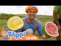 Blippi aprende sobre una alimentación saludable en la granja  | Videos de vehículos para niños