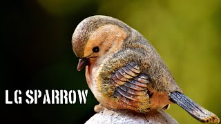 "How the Tiny Sparrow Became Nature's Unsung Hero!"