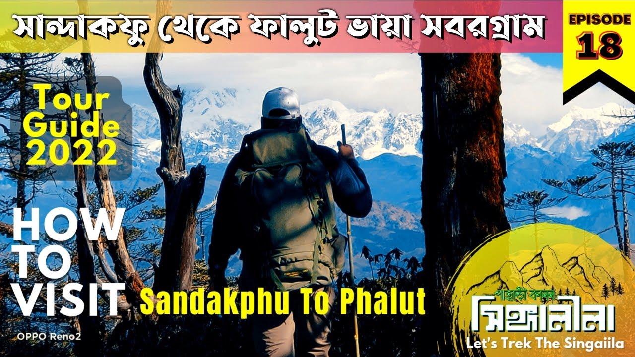 How To Do Trek From Sandakphu To Phalut? Sandakphu Phalut Tour Guide For 2022 | Phalut Trekking