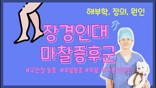 장경인대 마찰증후군 시리즈 1  해부학, 정의, 원인