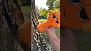 Chaos Is The Routine