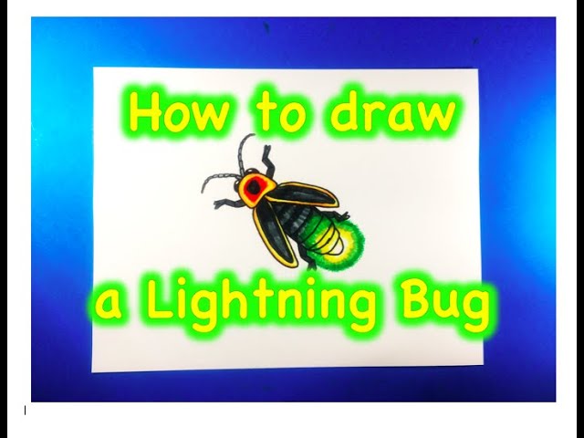 13+ Lightning Bug Drawing