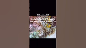 تلاوة عطرة بصوت جميل #القران_الكريم #viral #foryou