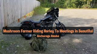 Mushroom Farmer Rides Harley To Meetings Beautiful Alaska (RAW)