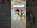「星のフラメンコ」氷川きよしのcover。西郷輝彦の楽曲。