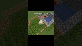 New Update
