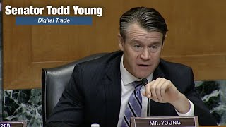 Senator Young Presses About the National Security Threat China Poses with Digital Trade
