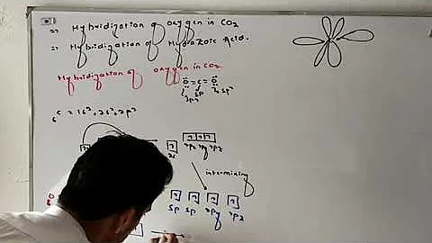 Hybridization of oxygen in CO2