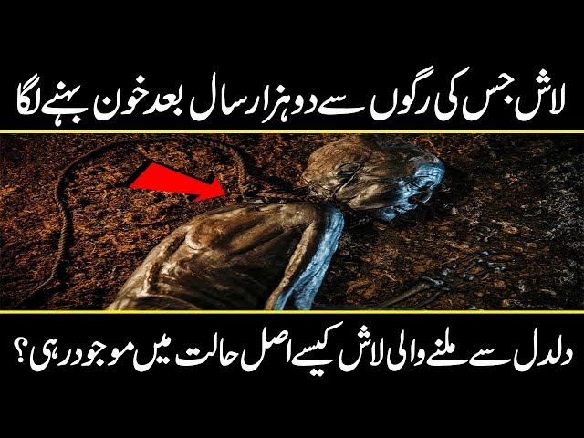 Top 5 Mummy Discoveries that Scared Archaeologists | Urdu cover class=