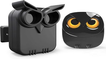 Top 5 best zigbee motion sensor 2024