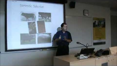 COMPLEXITY SCIENCE INSIGHTS FOR MANAGERS by Jon Whitty